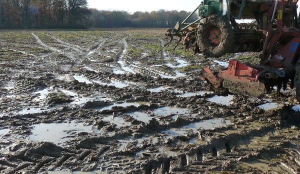 Come gestire l’eccesso d’acqua sul terreno