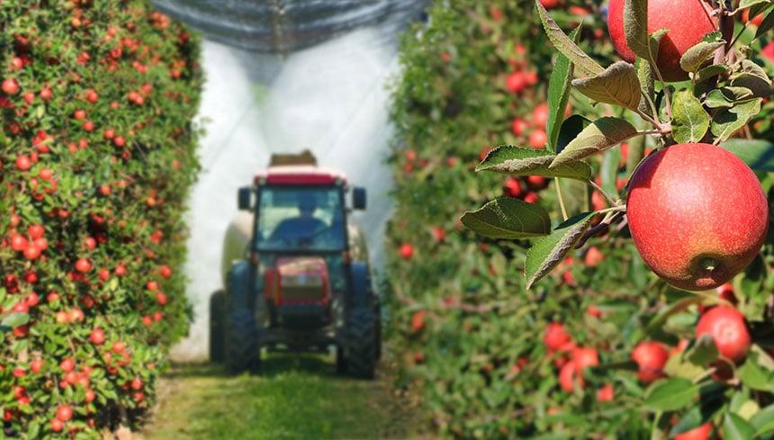 Irrigazione dei frutteti
