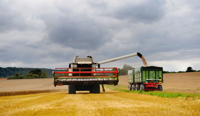 Scarico della mietitrebbia ai margini dell’appezzamento