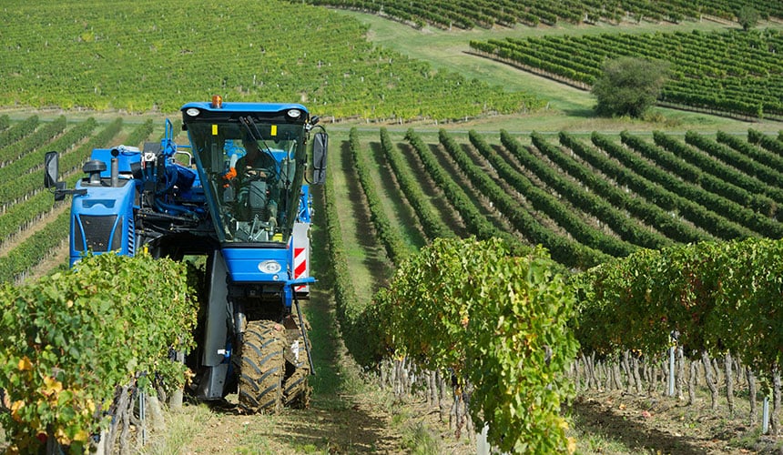 Gli pneumatici per vigneti sono in grado di operare su forti pendenze