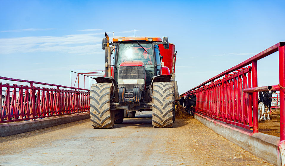 Quali sono i pneumatici agricoli adatti alla policoltura/allevamento
