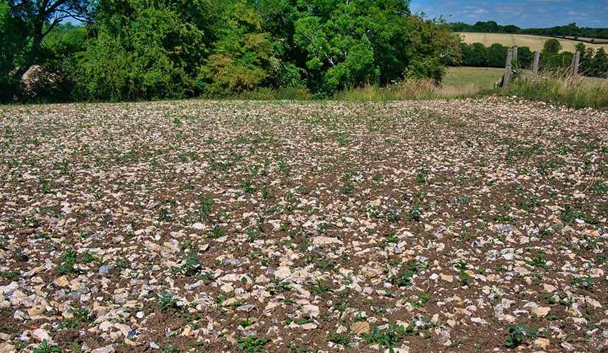 Terreno pietroso, abrasivo per i pneumatici agricoli