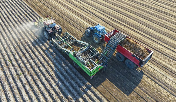 Quale pneumatico agricolo scegliere per uno scavapatate?