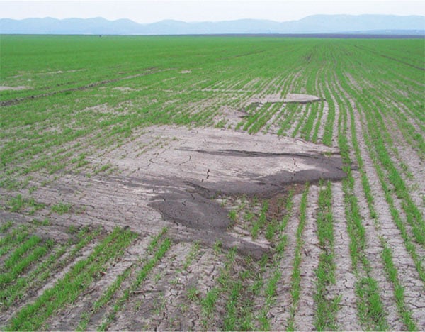 Un suolo compattato impedisce all’acqua di infiltrarsi e aumenta l’erosione