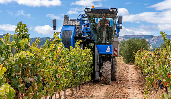 Pneumatici per vigneti: perché scegliere pneumatici adatti alla viticoltura?