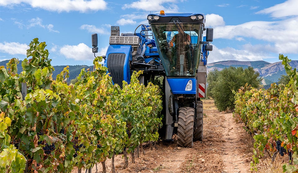 Pneumatici per vigneti per evitare la compattazione del suolo