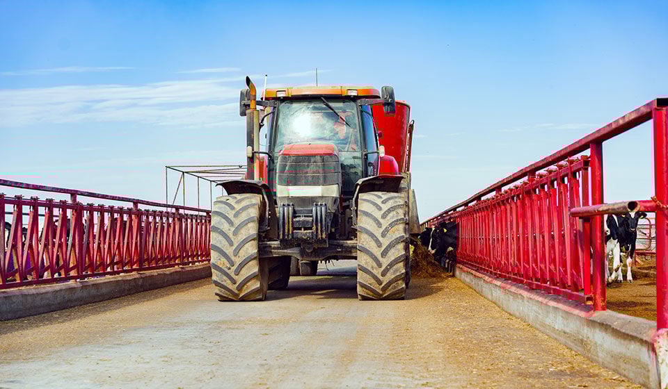 Quali sono i pneumatici agricoli adatti alla policoltura/allevamento
