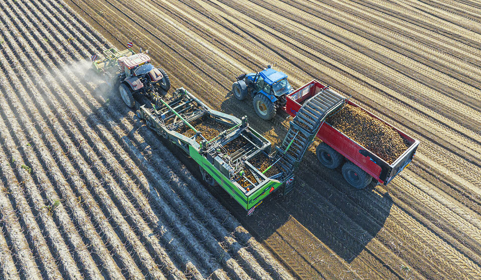 Quale pneumatico agricolo scegliere per uno scavapatate
